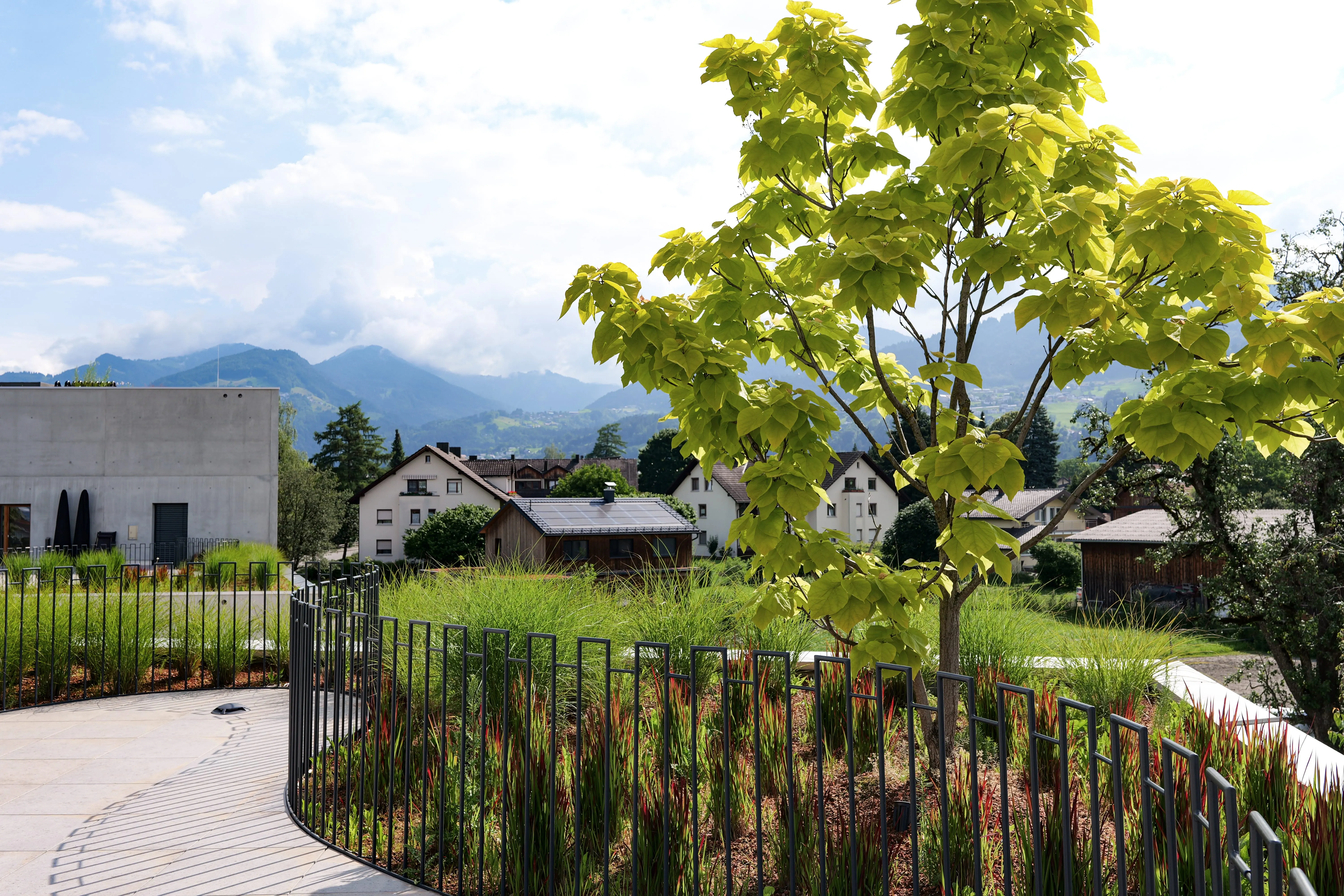 Dachterrasse von Corner 21 in Rankweil mit jungem Baum und Metallgeländer.